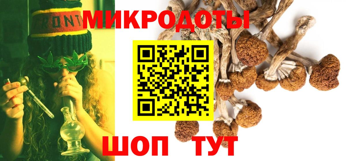 Губкинский  закладки  Псилоцибиновые грибы Psilocybe  Вход с VPN  Псилоцибиновые грибы Magic Shrooms 